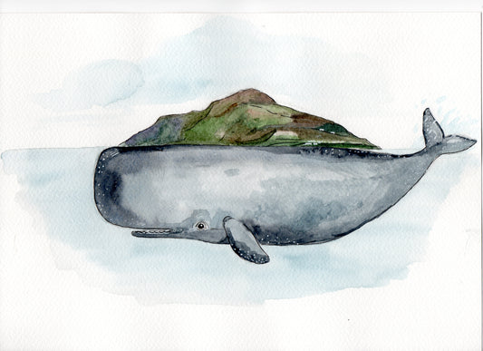 A4 Print - Holy Isle & Sperm Whale