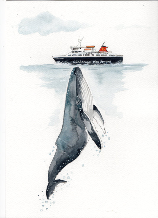 A4 Print  - Arran Ferry & Whale